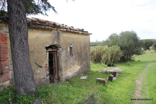 ammena-26-02-2023 13-46-24